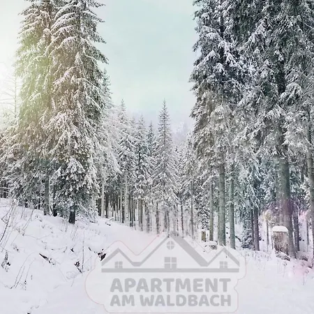 Apartment Am Waldbach Gernsbach Exterior photo