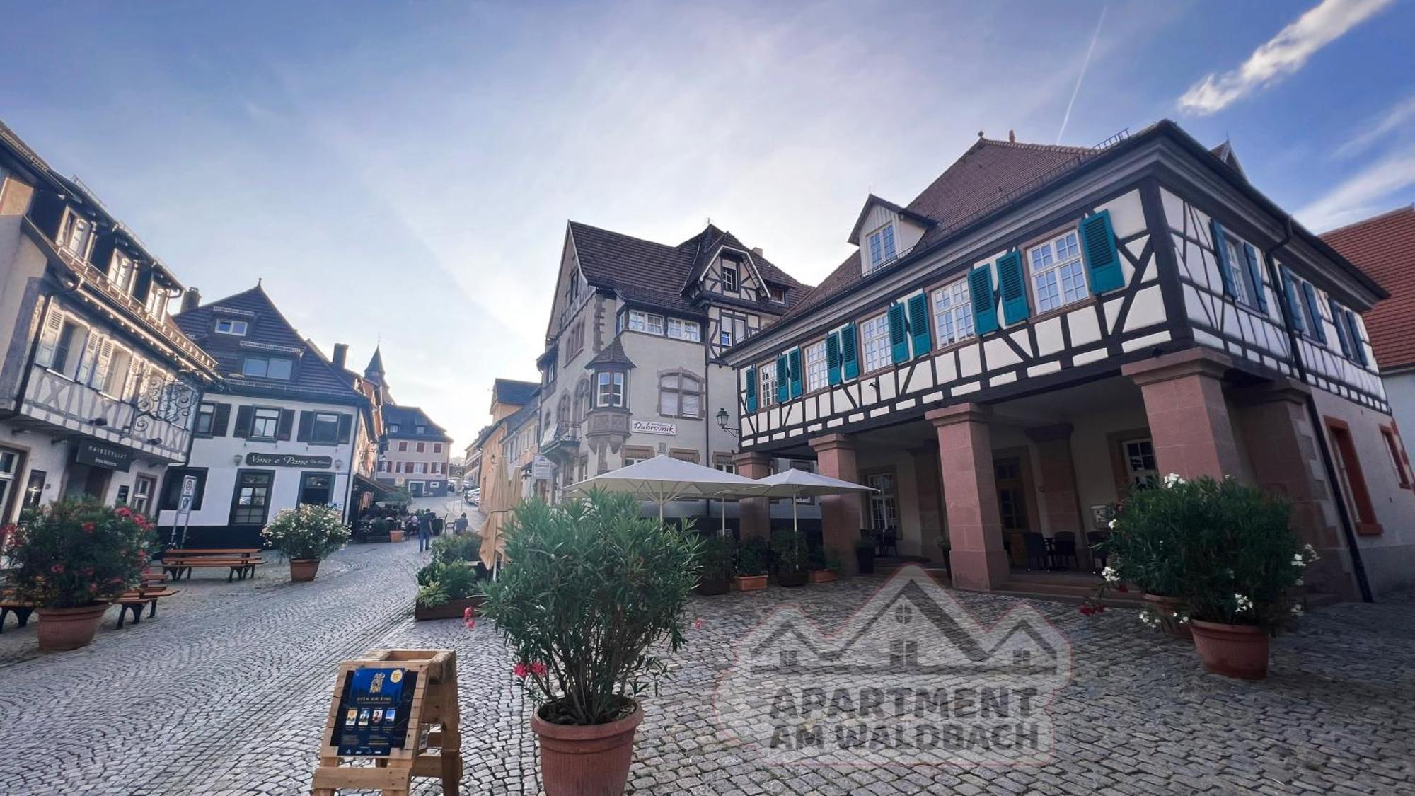 Am Waldbach Apartment *